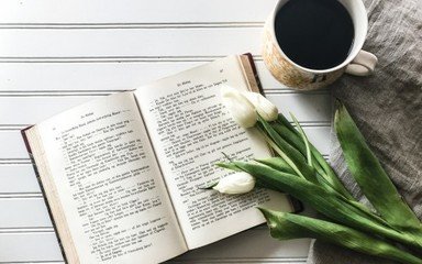 成考录取后能不能改专业?(图1)