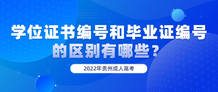 学位证书编号和毕业证编号的差别有哪些？