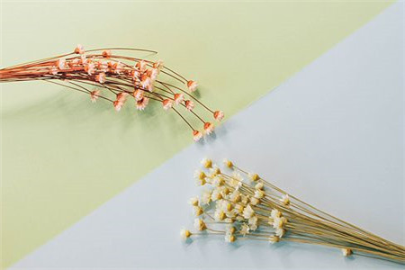 速速过来看!贵州省成考语文满分作文就该这样写